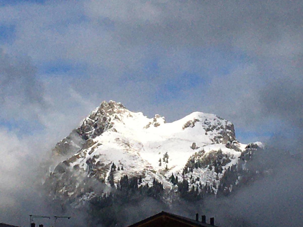 Living Mountain Tannheim Daire Dış mekan fotoğraf
