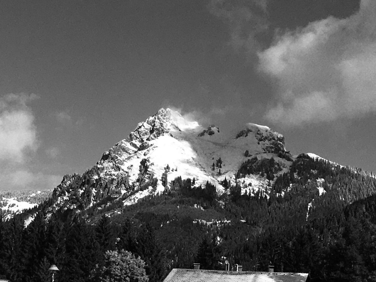 Living Mountain Tannheim Daire Dış mekan fotoğraf